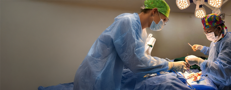 Compassionate Veterinary Care